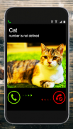 Fälschung Anruf Katze Streich screenshot 0