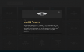 US Navy Ratings & Reference screenshot 11