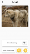 Dog Breeds - Quiz about all dogs of the world! screenshot 0