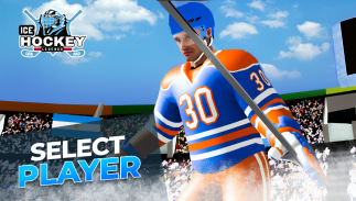 Ice Hockey Classic 3D screenshot 4