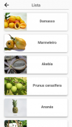Frutas e Legumes, Bagas: Imagem - Quiz screenshot 6