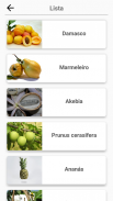 Frutas e Legumes, Bagas: Imagem - Quiz screenshot 5