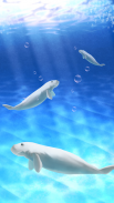 Aquarium dugong simulation screenshot 0