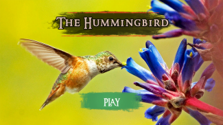 The Hummingbird screenshot 22