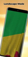 Mali Flag Live Wallpaper screenshot 6