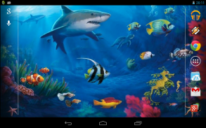 Interactive Shark screenshot 0