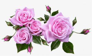 Amazing Flowers Images Gif Rose Stickers Wallpaper screenshot 7