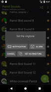 Appp.io - Parrot sounds screenshot 3