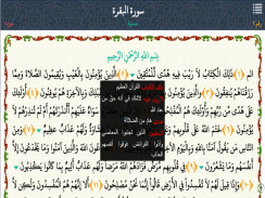 IslamWare - إسلام وير screenshot 14