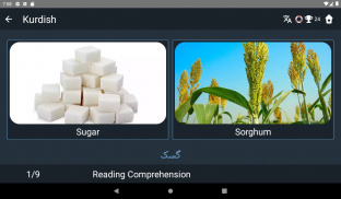 Kurdish Language Tests screenshot 16