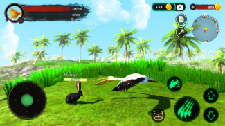 The Pelican screenshot 7