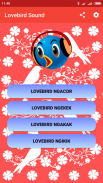 Lovebird sound screenshot 5