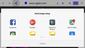 Dual Browser (Paid) screenshot 3