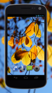 Autumn Leaves Video Wallpaper screenshot 2