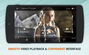 Dolphin Vídeo - Flash Player screenshot 2