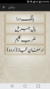 Shaaer-e-Mashriq(Allama Iqbal) screenshot 8