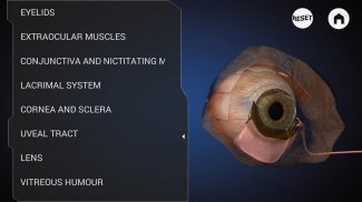 Ophthalmology in Dogs (Free) screenshot 1