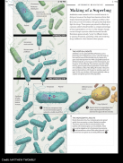 Scientific American screenshot 6