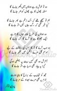 Parveen Shakir Poetry screenshot 5