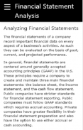 Financial Statement Analysis screenshot 2