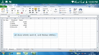 Learn M S Excel 2010 in Hindi screenshot 4