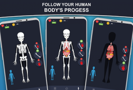 Anatomia Humana Quizzes