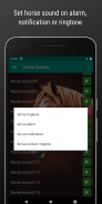 Horse Sounds and Ringtone free screenshot 3