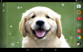 Puppies Live Wallpaper screenshot 1