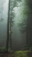 Dark Forest  Live Wallpaper screenshot 2