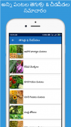 Crop Bee - వ్యవసాయం, Agriculture app India,weather screenshot 2