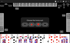 Pinochle - Expert AI screenshot 4