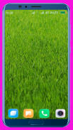 Grass Wallpaper Best 4K screenshot 11