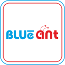 BLUeaNT