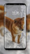 Shiba Inu Wallpaper screenshot 1