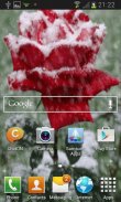 Icy Red Rose Live Wallpaper screenshot 2