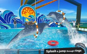 Dolphin Water Stunts Show screenshot 10