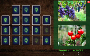 All Vegetals Pairs Memory Game screenshot 12