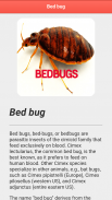 Bedbugs Disease screenshot 3