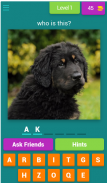 dog breeds quiz screenshot 16