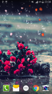 Rose Raindrop Live Wallpaper screenshot 6