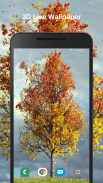 الخريف القيقب خلفية متحركة screenshot 0