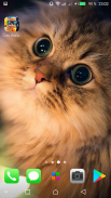 Kawaii Cats Wallpapers - Cute Backgrounds screenshot 0