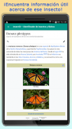 InsectID – Identifica Insectos screenshot 9