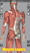 3D Bones and Organs (Anatomy) screenshot 12