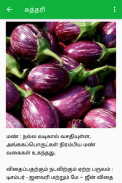 Agri News - Tamil screenshot 3