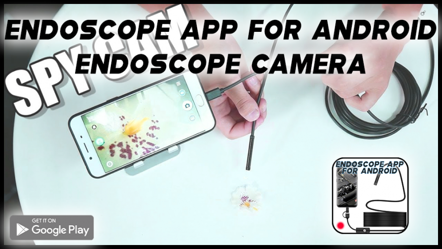 Endoscope