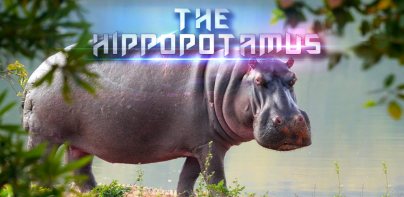 The Hippo