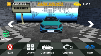 Park Driver screenshot 7