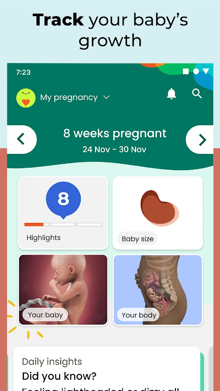 The Bump Pregnancy Tracker & Baby App, Privacy & security guide