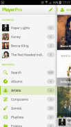 PlayerPro Cloudy Green Skin screenshot 0